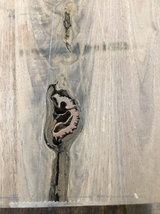 The NUT in the Pulpit!