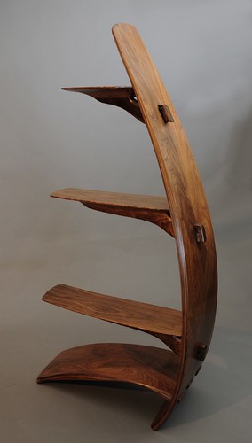 "Out on a Limb" Bookcase